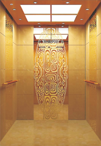 Luxury Passenger Elevator