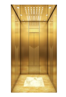 Luxury Villa Elevator